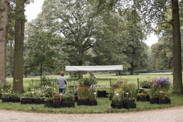 Tweede editie van de Ambachtelijke Plantenmarkt