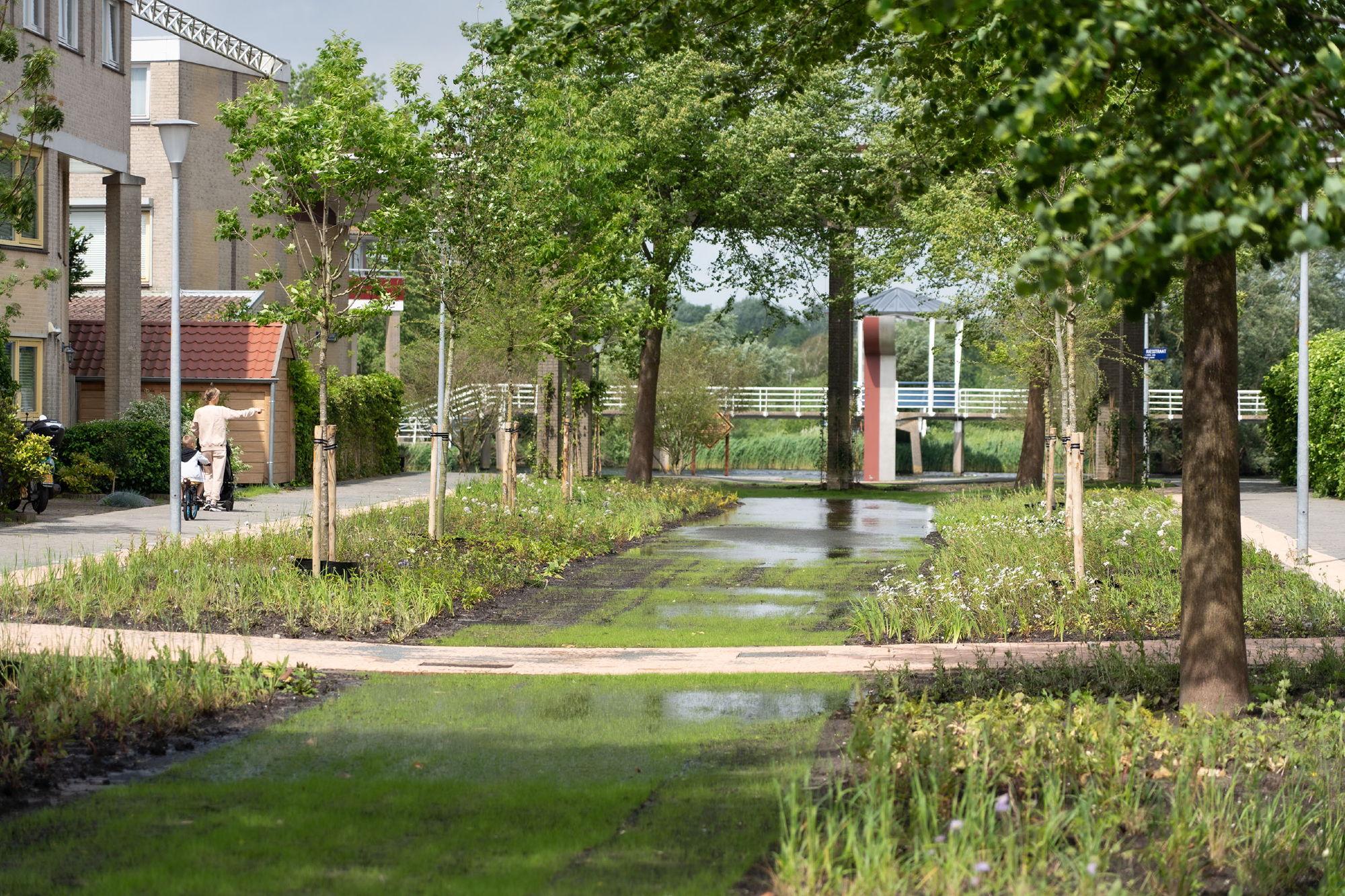 Alkmaar naar Green Cities Award