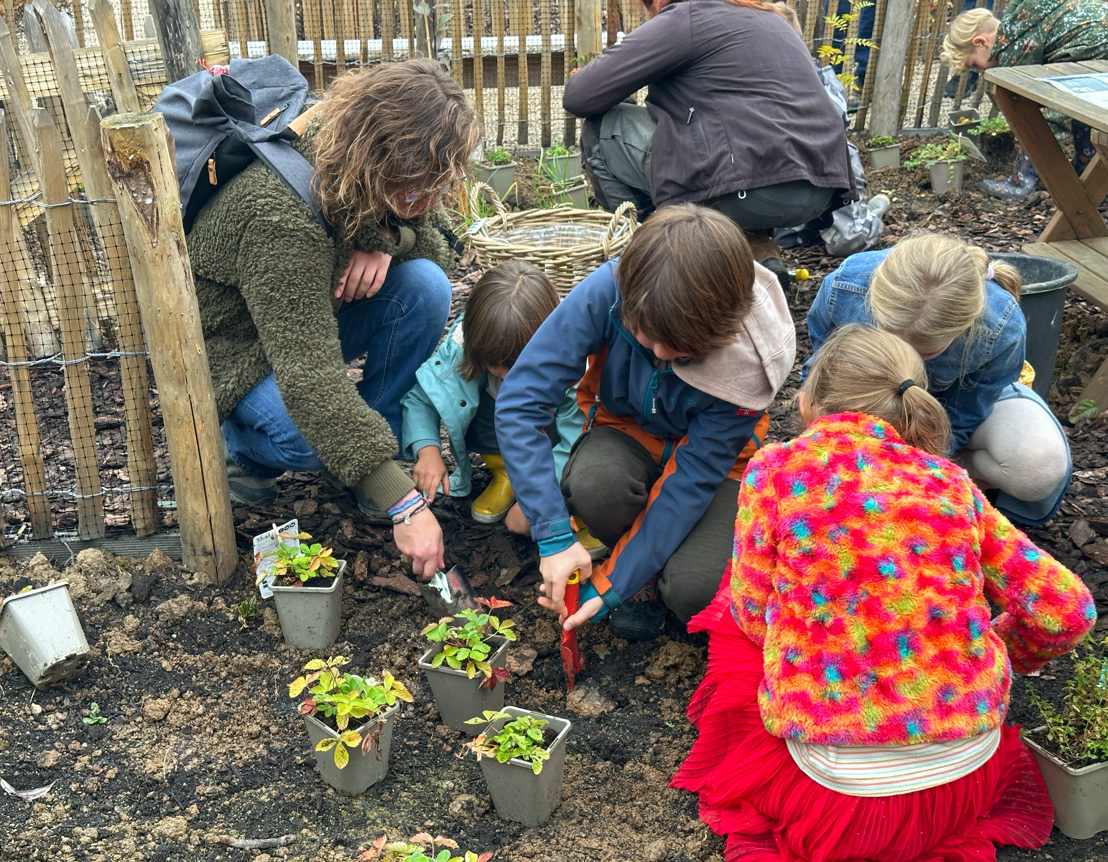 Nieuwe IVN-voedselbosjes verrijken Bloemenpark Appeltern