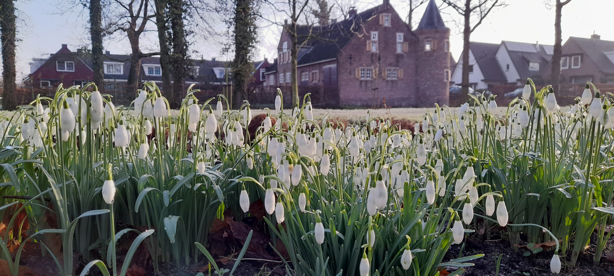 'Als tuinbaas bescherm je de historische tuin'