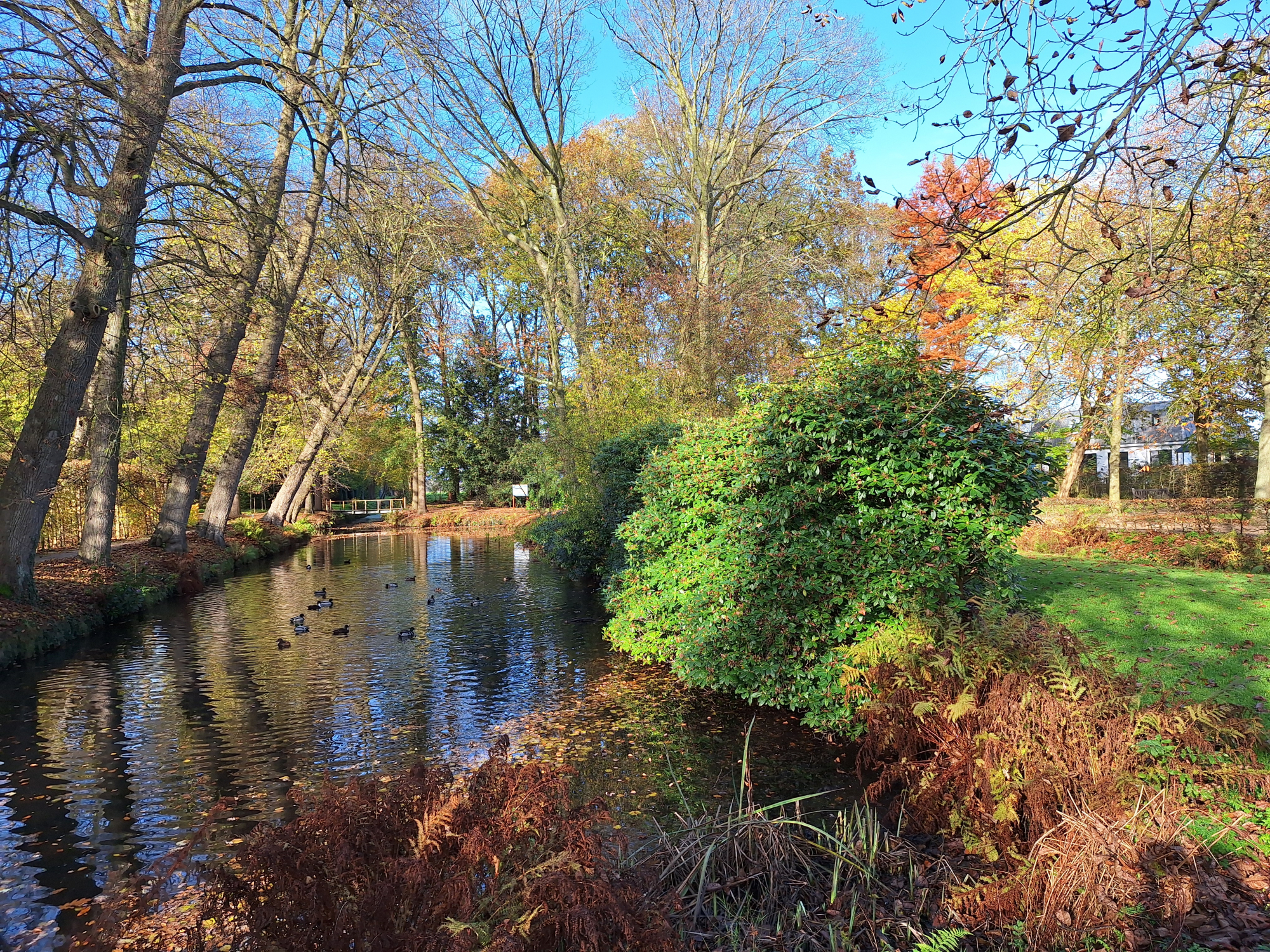 'Als tuinbaas bescherm je de historische tuin'