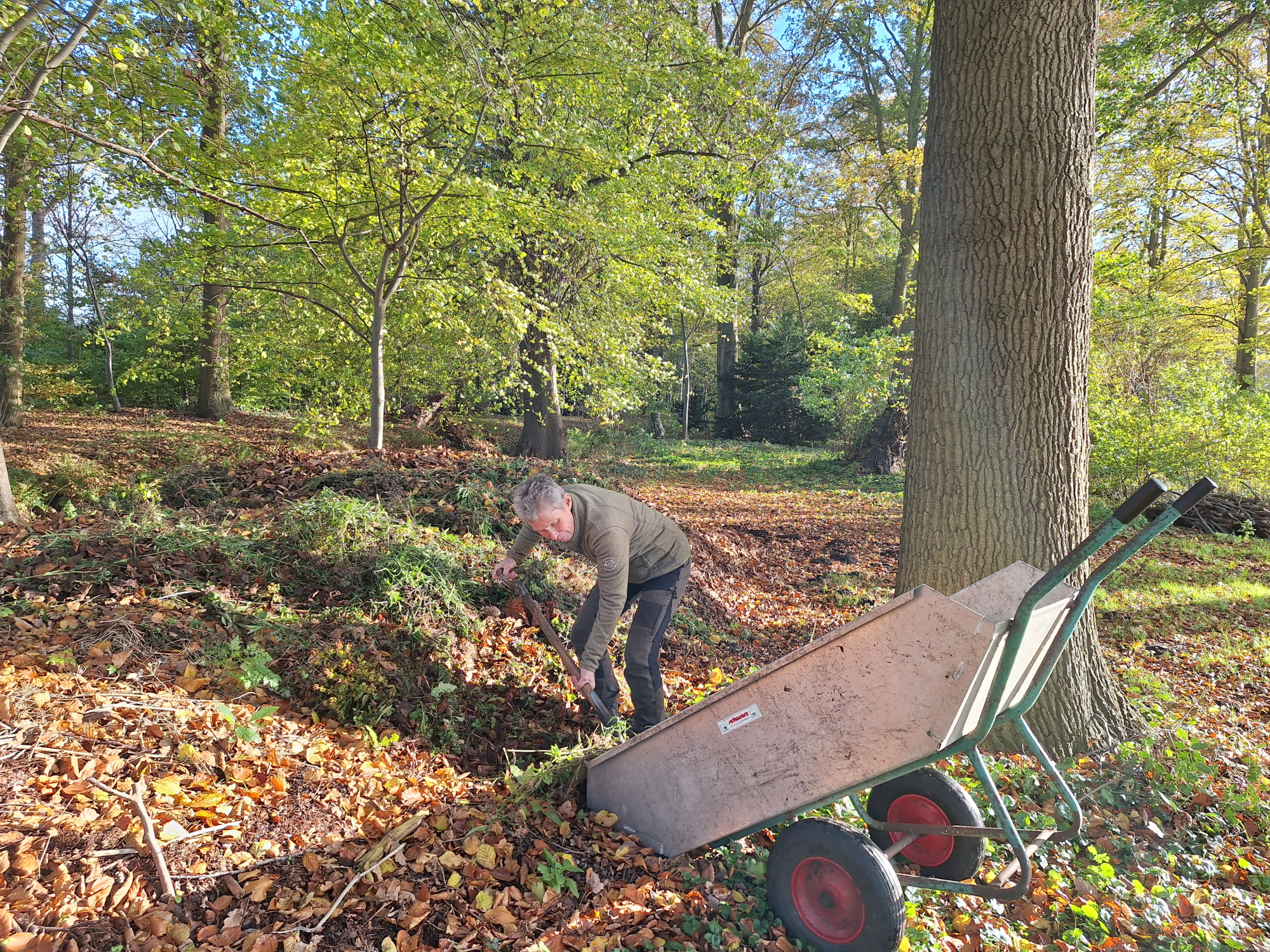 'Als tuinbaas bescherm je de historische tuin'