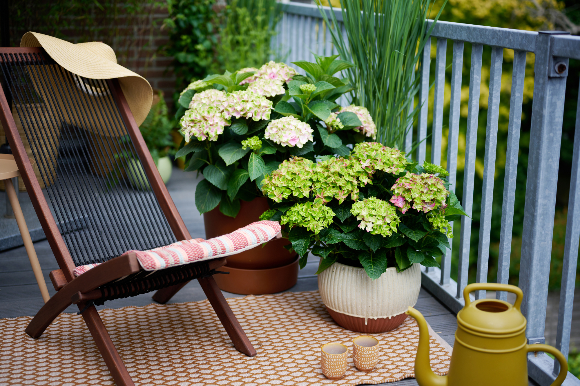 De beste hortensia’s voor balkon en terras