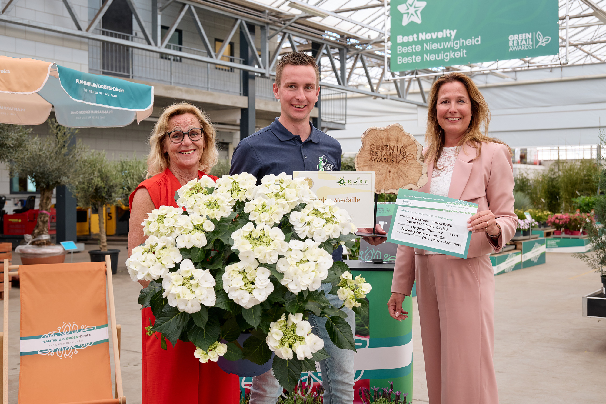 Hydrangea macrophylla wint Green Retail Award Beste Nieuwigheid