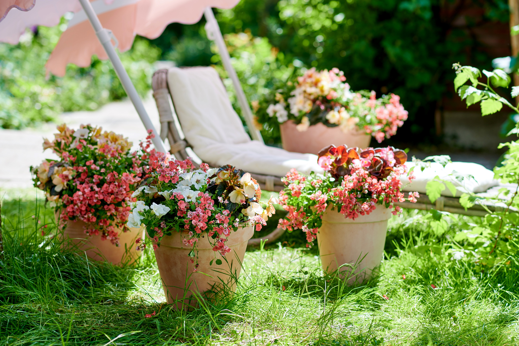 Vakantiegevoel in eigen tuin